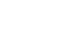 vector